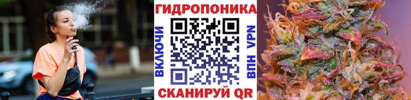 Бошки Шишки сатива  Купить закладки  Поронайск 